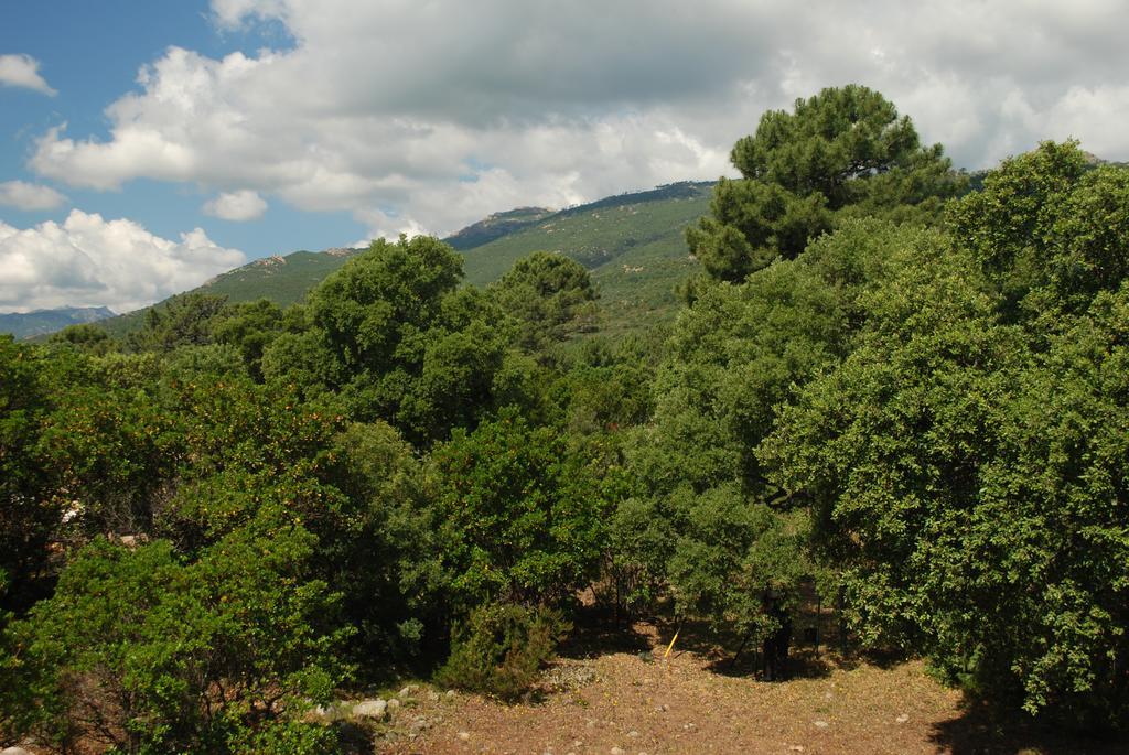 Residence Riviera Porto-Vecchio  Zewnętrze zdjęcie